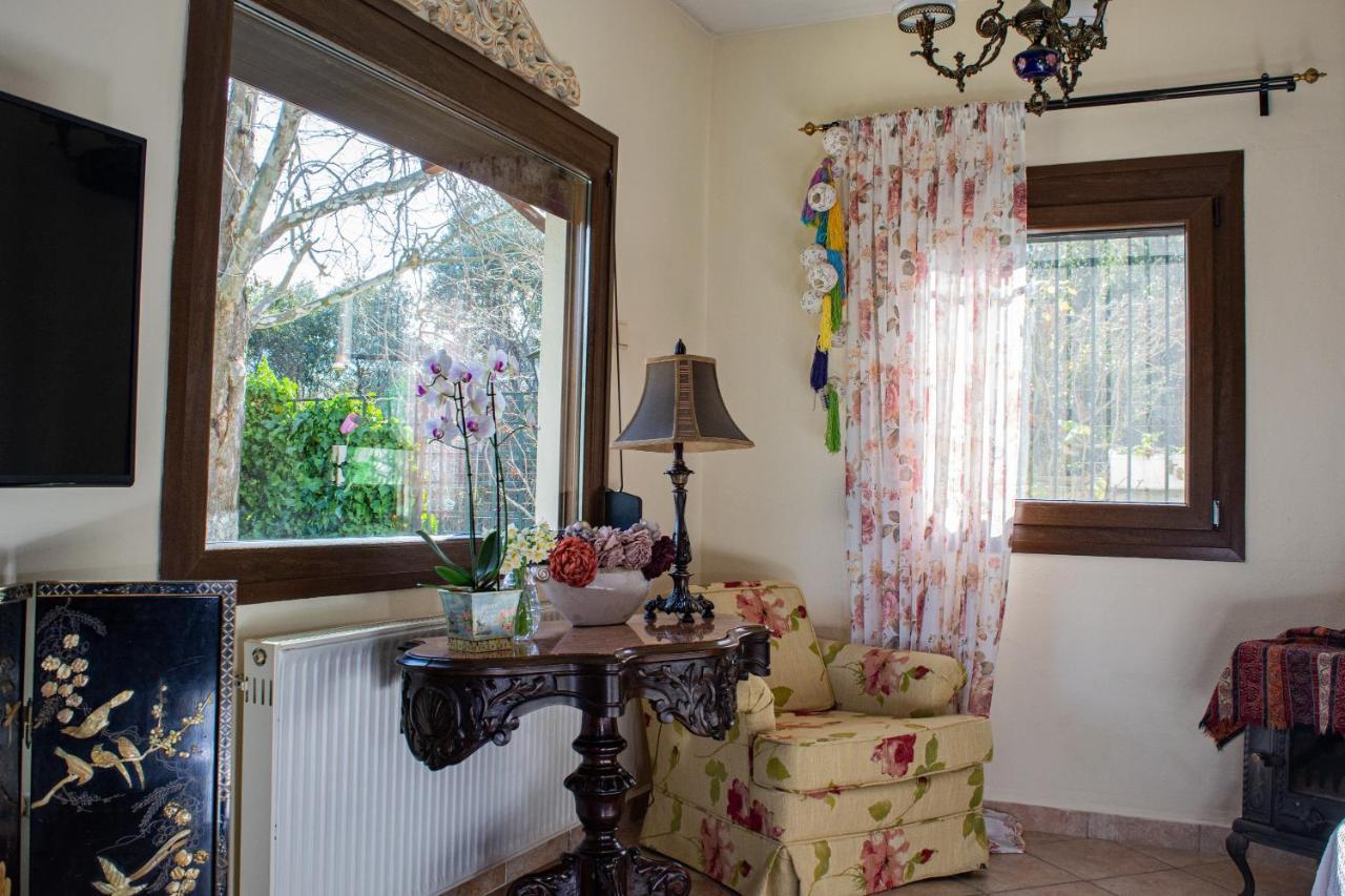Sofia'S House Apartment Palaiontsiflikion Bagian luar foto